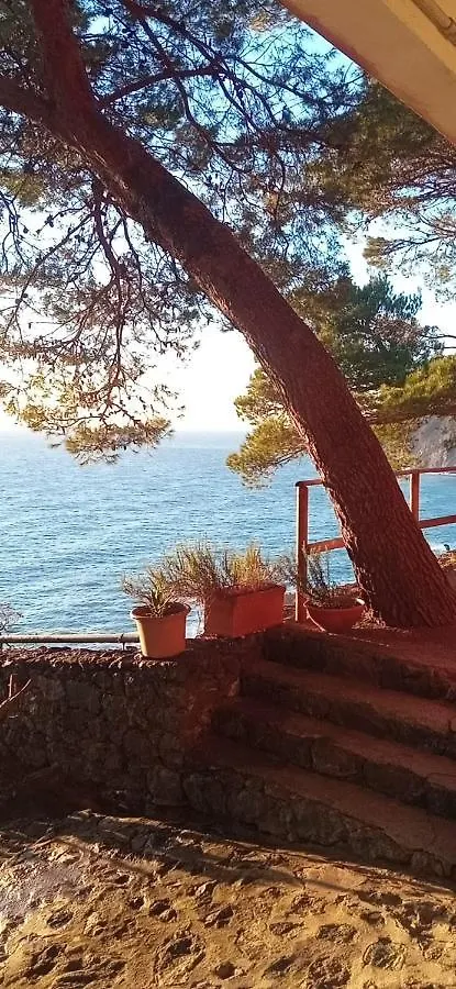 Cinqueterre National Park Sea View Apartment Framura